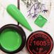 Цветная гель краска MagicNail Pure Color Gel 5 ml. № 1605 (зеленая)
