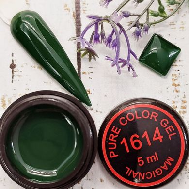 Цветная гель краска MagicNail Pure Color Gel 5 ml. № 1614 (темно-зеленая)